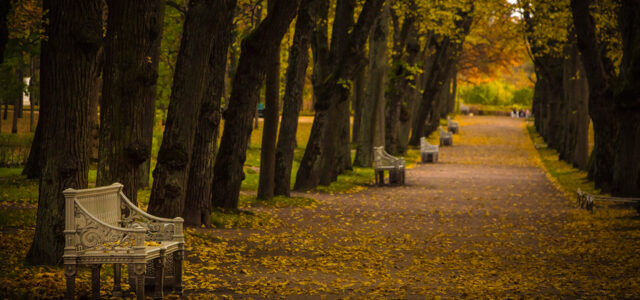Золотая осень в Павловске
